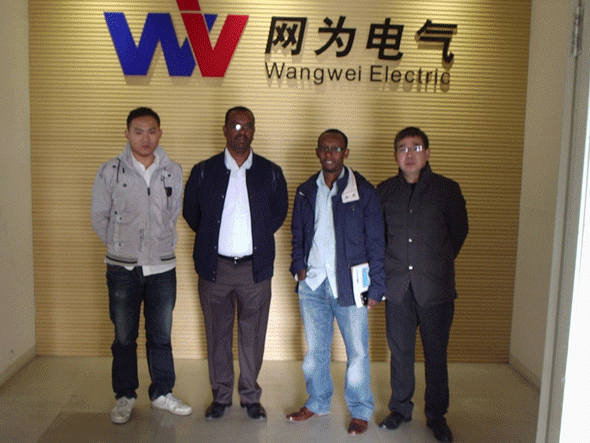 熱烈歡迎埃塞俄比亞OMICRON ENGINEERING公司來網為參觀考察
